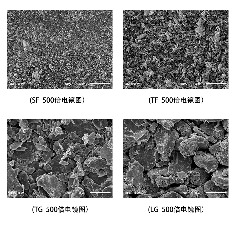 1563521065609030.jpg 電鏡圖 1.jpg